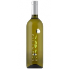 V. Due Palme Bco Anthea Falanghina Puglia 750 Ml V. Due Palme Bco Anthea Falanghina Puglia 750 Ml