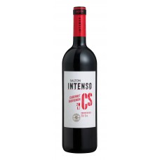 Vinho Salton Intenso Cabernet Sauvignon 750 Ml