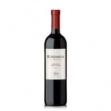 Vinho Argentino Benjamin Nieto Cab Tt 2019 Vinho Argentino Benjamin Nieto Cab Tt 2019