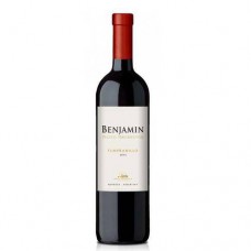 Vinho Argentino Benjamin Nieto Tempran 2018 Vinho Argentino Benjamin Nieto Tempran 2018