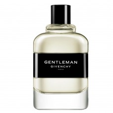 Gentleman Givenchy Perfume Masculino - Eau De Toilette 100ml