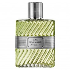 Eau Sauvage Dior - Perfume Masculino - Eau De Toilette 100ml Eau Sauvage Dior - Perfume Masculino - Eau De Toilette 100ml