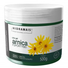 Gel De Massagem Hidramais Arnica Sport Fisio 500g
