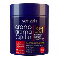 Yenzah Cronograma Capilar Coloridos- Máscara Capilar Para Cabelos Coloridos 480g