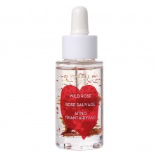 Óleo De Clareamento Facial Korres Wild Rose 30ml Óleo De Clareamento Facial Korres Wild Rose 30ml