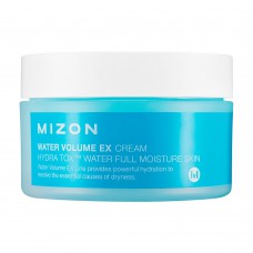 Gel Creme Hidratante Mizon Water Volume Ex Cream 100ml