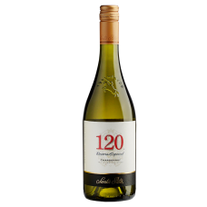 Vinho Chileno Branco 120 Santa Rita Chardonnay Garrafa 750ml