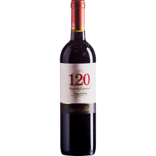 Vinho Chileno Tinto 120 Santa Rita Carmenère Garrafa 750ml Vinho Chileno Tinto 120 Santa Rita Carmenère Garrafa 750ml