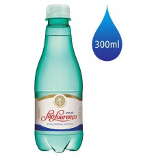 Água Mineral Sem Gás SÃo LourenÇo Garrafa 300ml Água Mineral Sem Gás SÃo LourenÇo Garrafa 300ml