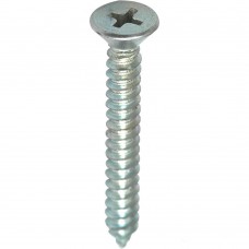 Parafuso Atarraxante Phillips 3,9x25mm Para Parafusadeira Ppc/04 Fixtil