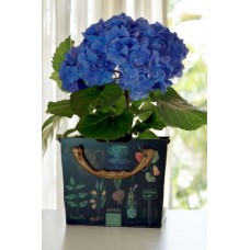 Cesto Organizador Tam. M Protea Dello Herbal Cesto Organizador Tam. M Protea Dello Herbal